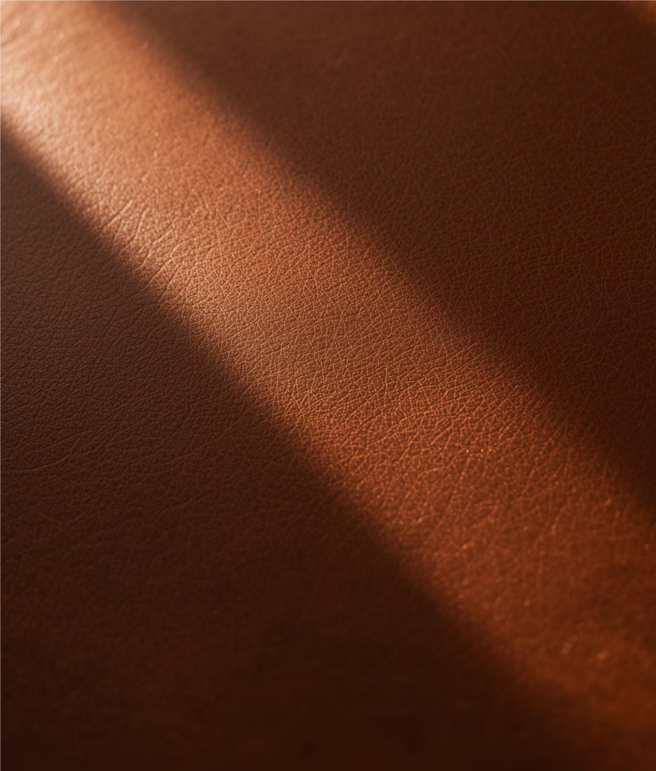 Full-Grain Authority