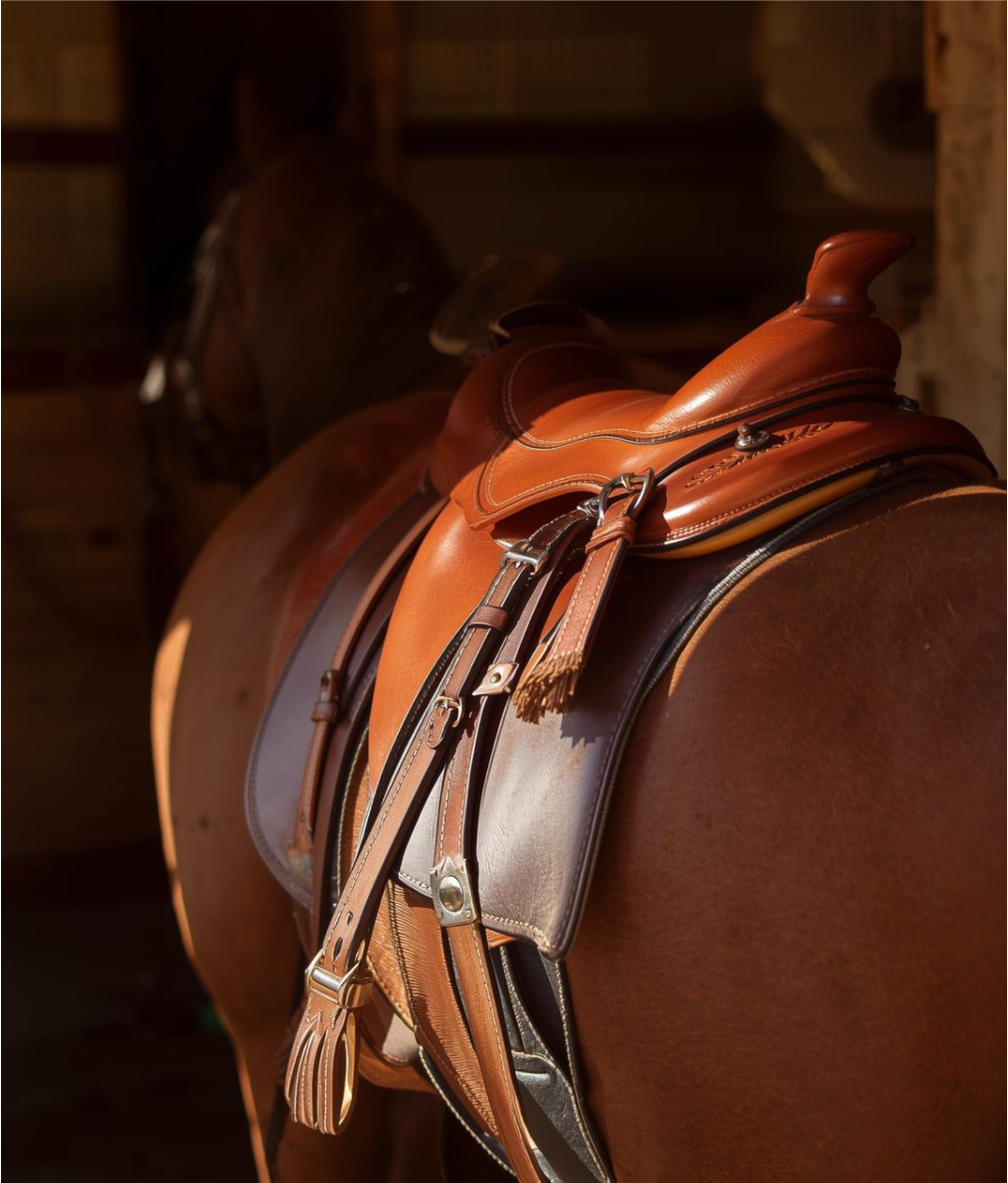 Solid Brass Excellence